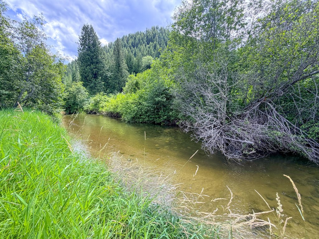 Picture 9
