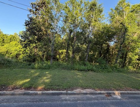 Residential Lot in Dothan, AL