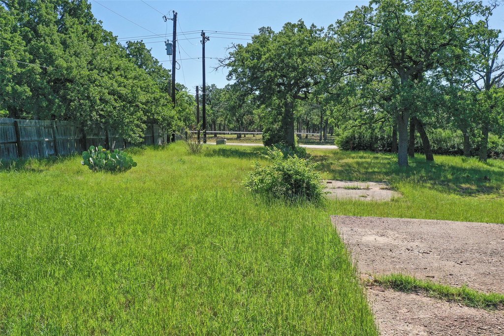 Picture 9