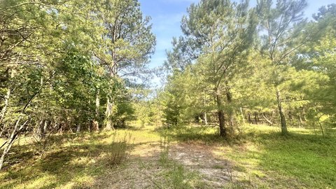LAND - Lugoff, SC