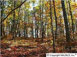 Gurley, AL Wooded Land