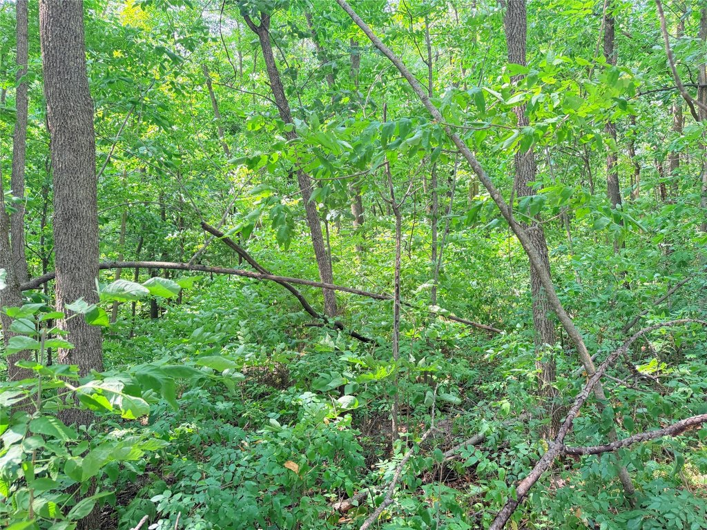 Picture 19