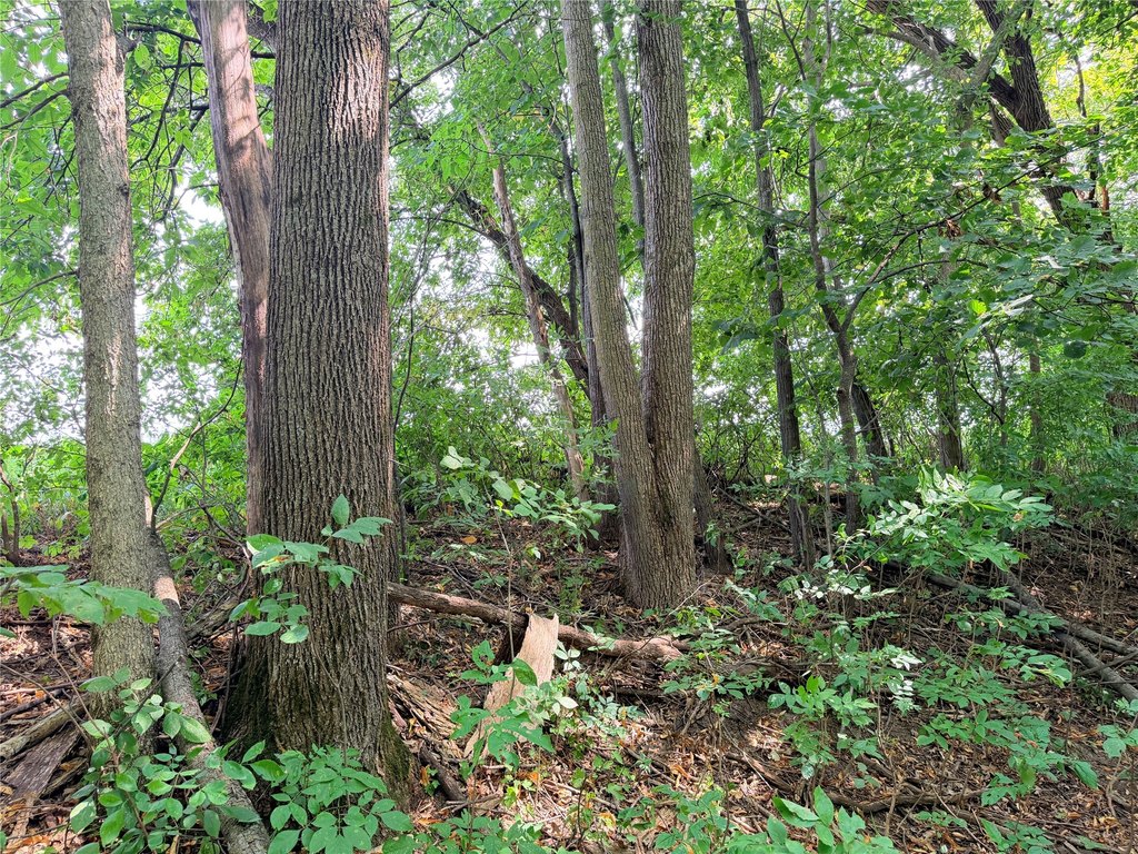 Picture 13