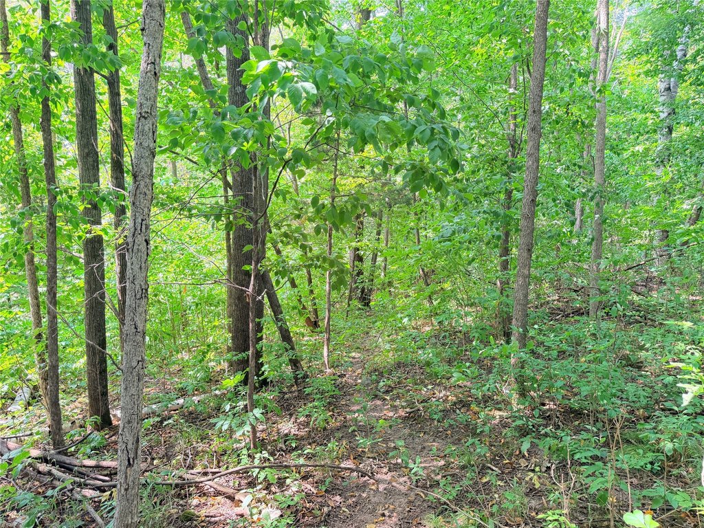 Picture 16