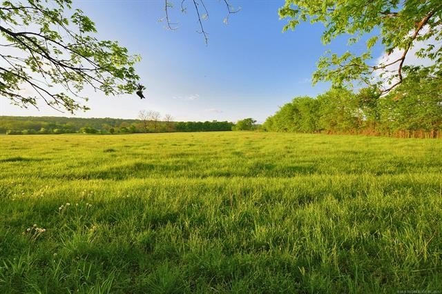 40-Acre Pasture Land Opportunity