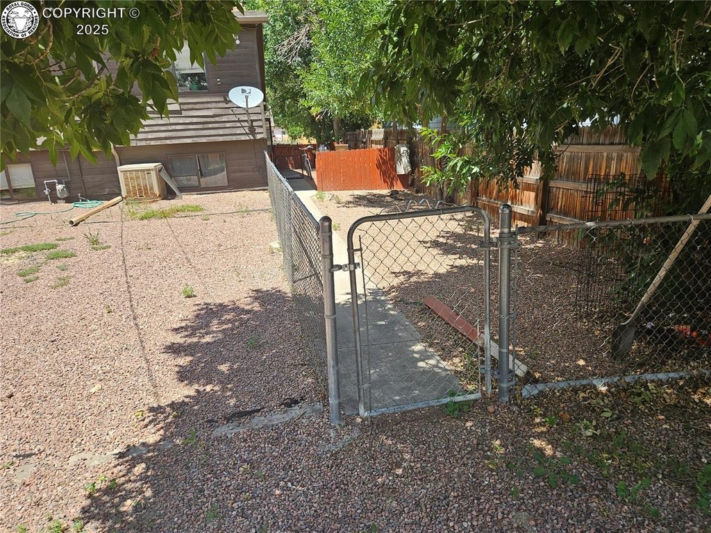 Picture 6