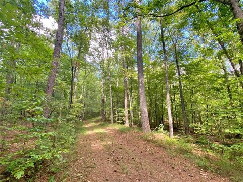 Large Acreage Near Ellijay, GA