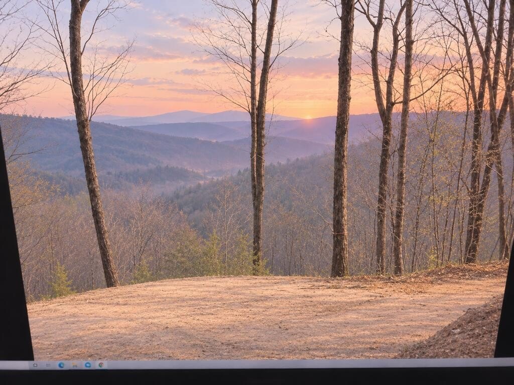 Picture 7