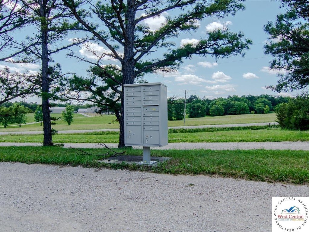 Picture 39