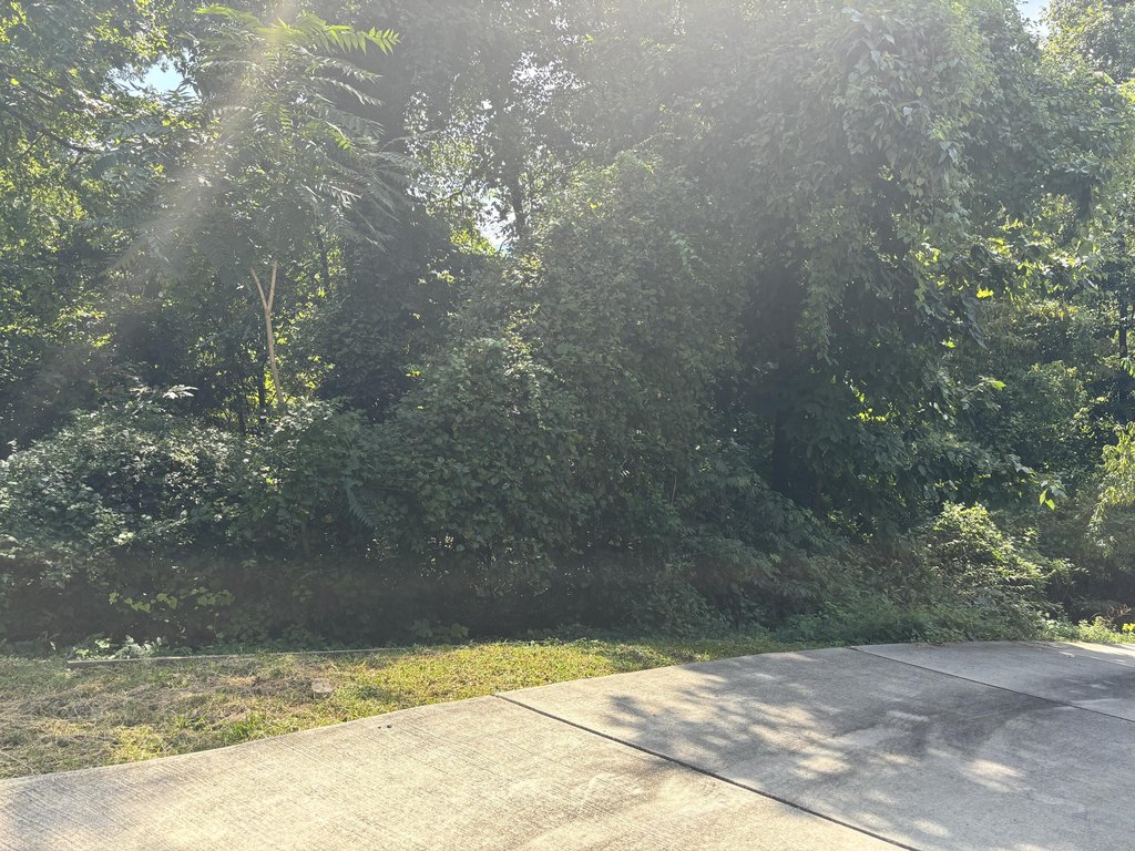 Picture 20
