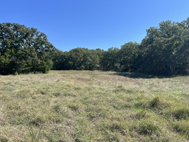 Picture 16