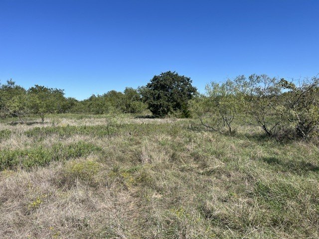 Picture 13