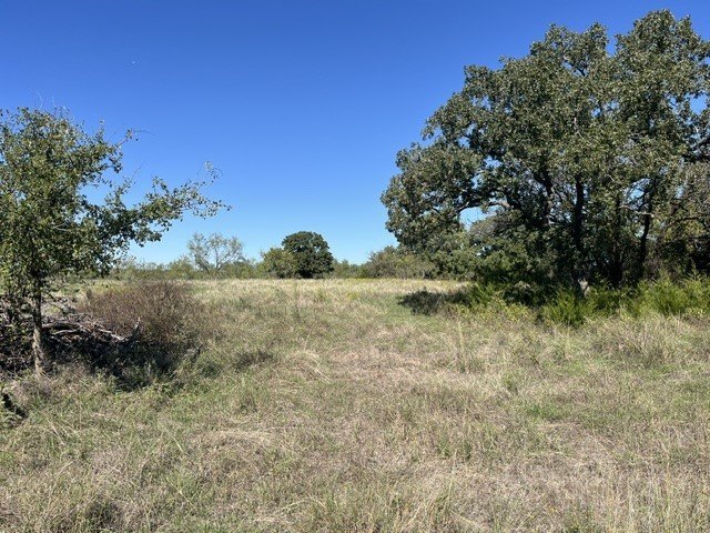 Picture 31