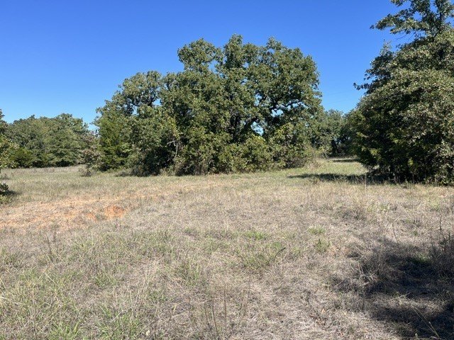 Picture 19