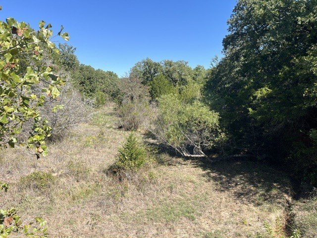 Picture 26