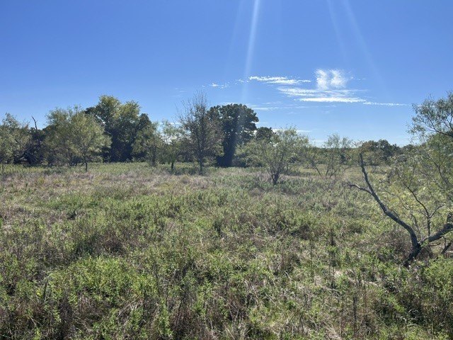 Picture 12