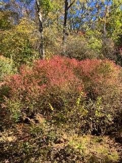 Franklin, NC Land Parcel