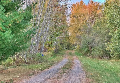 Wooded Recreational Land Lot