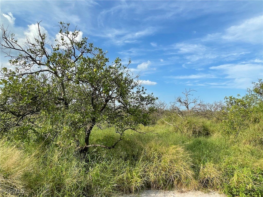 Labelle Agricultural Land Opportunity