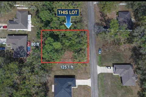 Citrus Springs Land For Sale