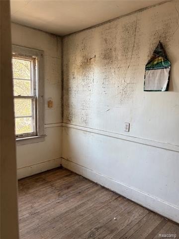 Picture 40