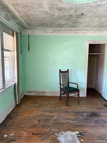 Picture 28
