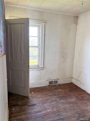 Picture 37