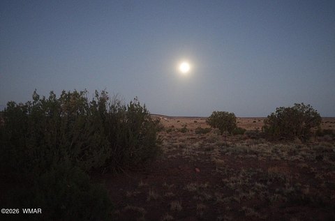 LAND - Concho, AZ