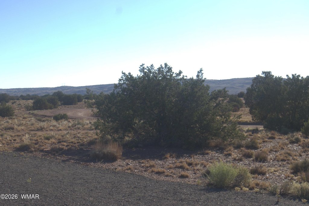 Picture 16