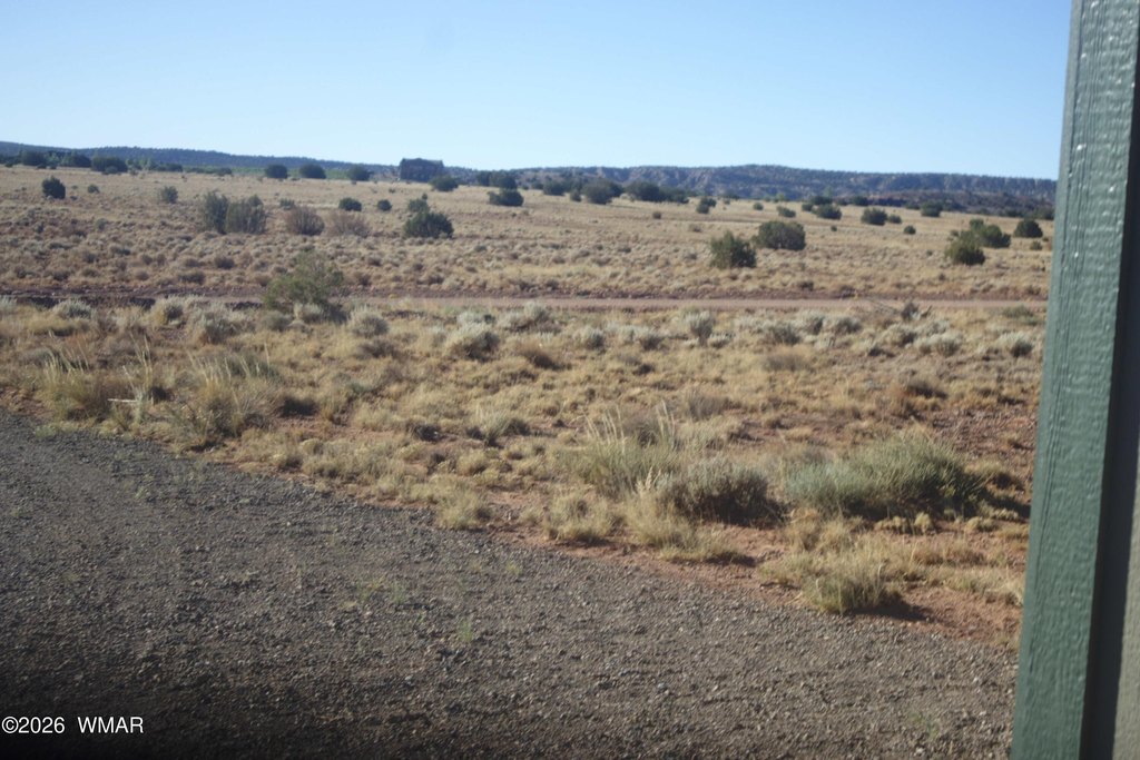Picture 14