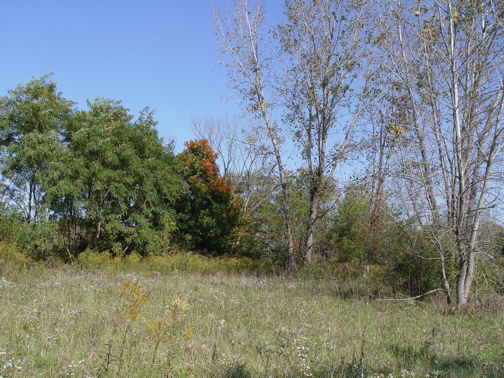 Picture 5