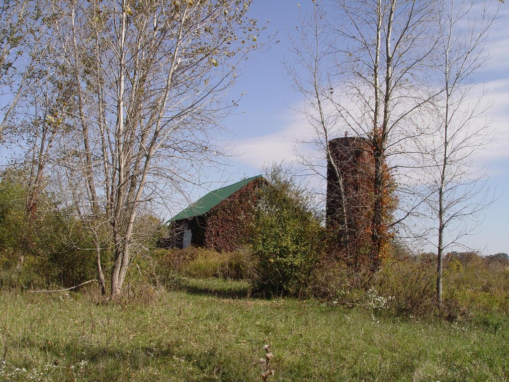 Picture 6