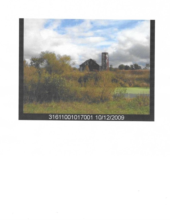 Picture 7
