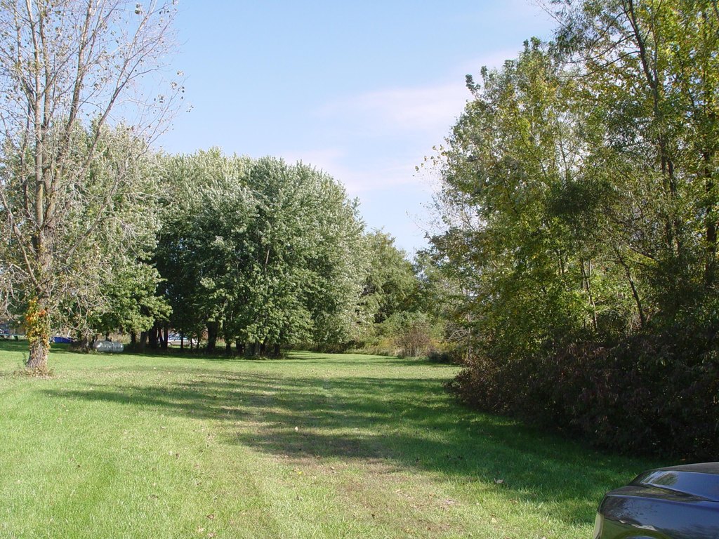 Picture 2