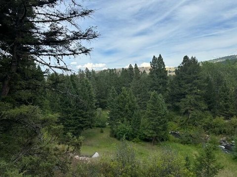 Historic Gold-Silver Mining Claim