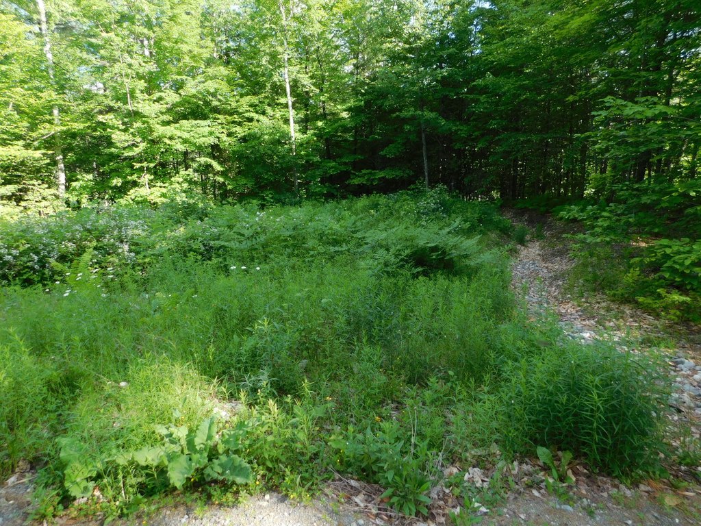 Picture 19
