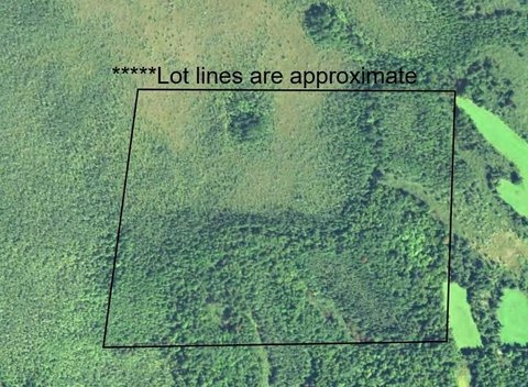 Agricultural Land with Mature Timber