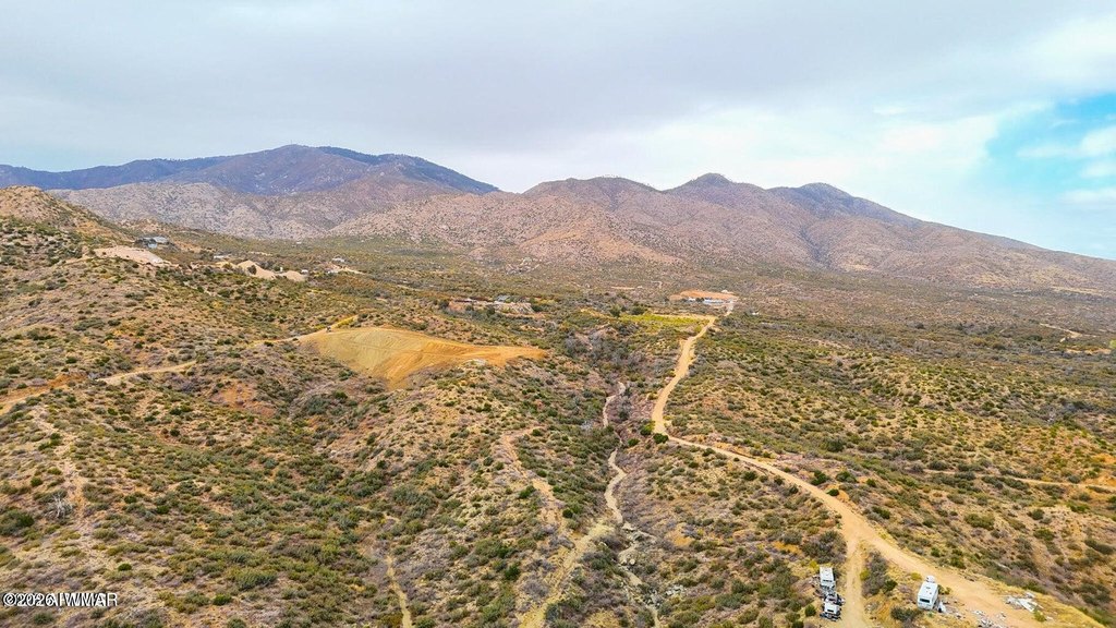 Picture 14