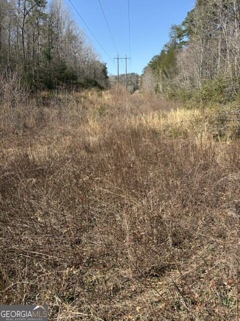 Picture 13