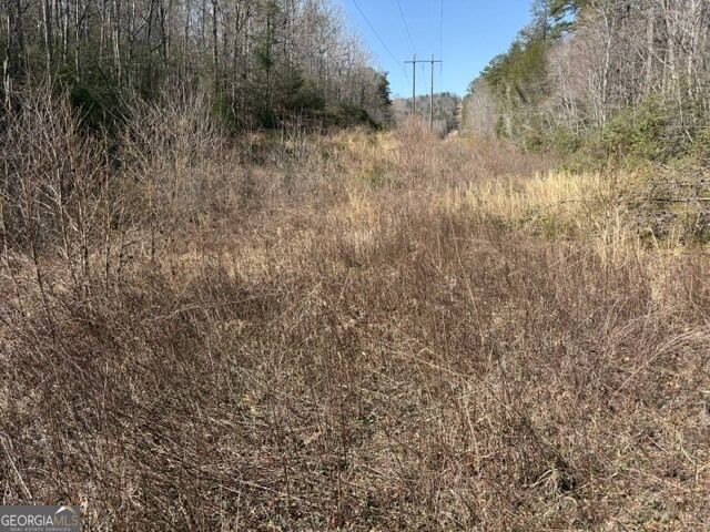 Picture 14