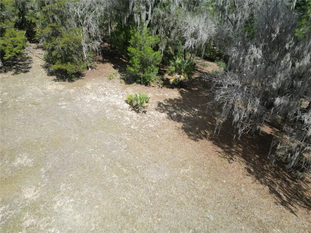 Picture 7