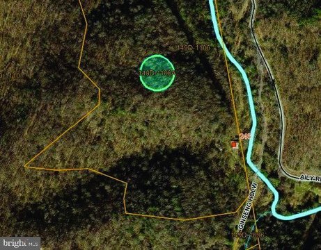 LAND - DANTE, VA