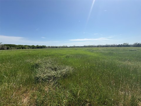 Road-Fronted Agricultural Land Tract