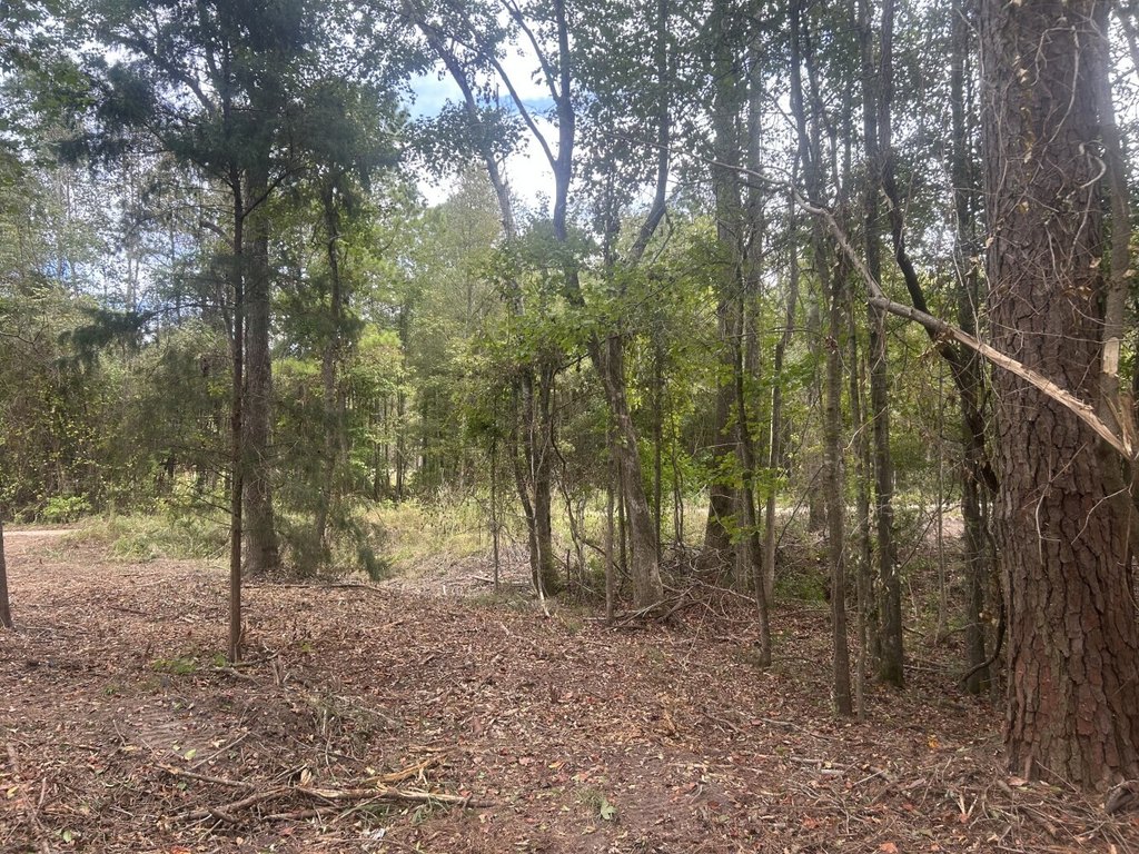 Picture 3