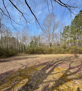 Wooded Building Site in Heathsville