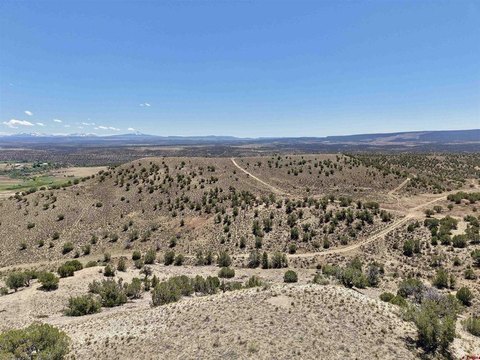 Multi-Parcel Hunting Land