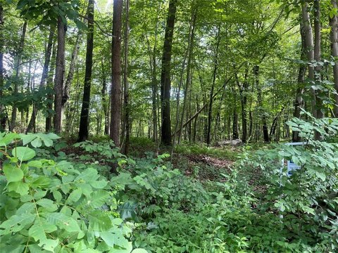Land, Patterson, NY