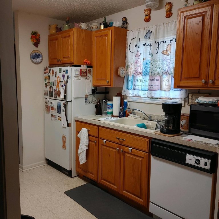 Picture 13