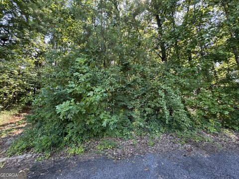 Picture of Land at Cambridge Way 202, Macon, GA