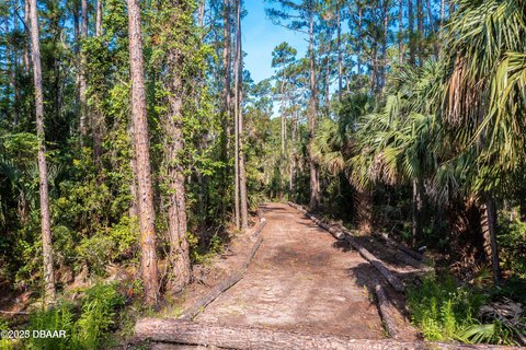 Land, Ormond Beach, FL